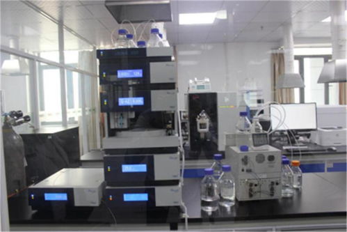 琪譜檢測 襄陽專業食品檢測服務與高清實景展示